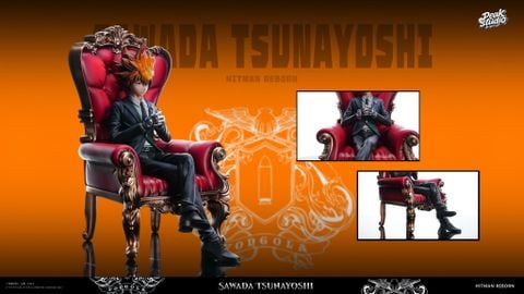  Tsunayoshi Sawada - Katekyo Hitman Reborn! - Peak Studio 
