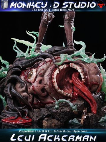  Levi Ackerman - Attack On Titan - Monkey D Studio 