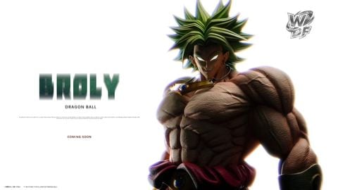  Broly - Dragon Ball - WDF Studio 