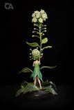  Shephred’s Purse flower Fairy - Berserk - Orange Art Studio 