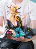  Black Maria - One Piece - BANDAI 