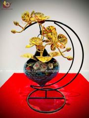 Chậu lan bằng đồng mạ vàng 24K- Quà tặng mạ vàng