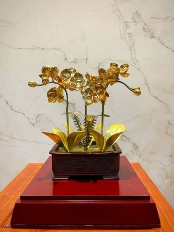 Chậu lan bằng đồng mạ vàng 24K 3 cành
