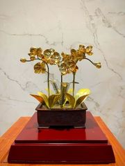 Chậu lan bằng đồng mạ vàng 24K 3 cành