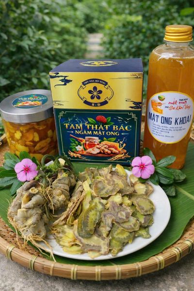 Tam thất bắc tươi ngâm mật ong 1000ml
