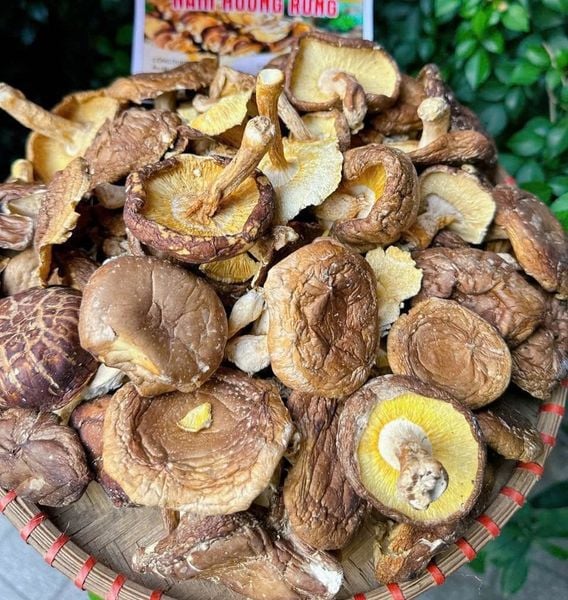 1KG Nấm hương rừng chuẩn Điện Biên loại 1