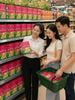 Trà kim tiền thảo 50 túi lọc
