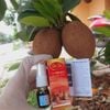 Sìn sú dạng bột và dạng cao