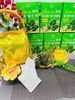 Trà an vị dạ dày đại tràng 50 túi lọc