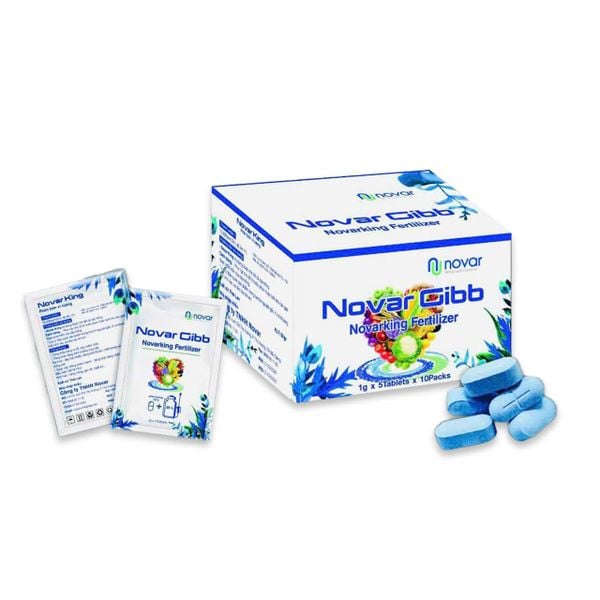  Novar Gibb 