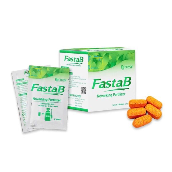  FastaB 
