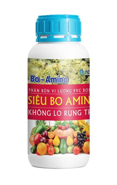  BO - AMINO 
