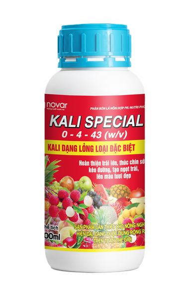  KALI SPECIAL 