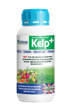  KELP + 