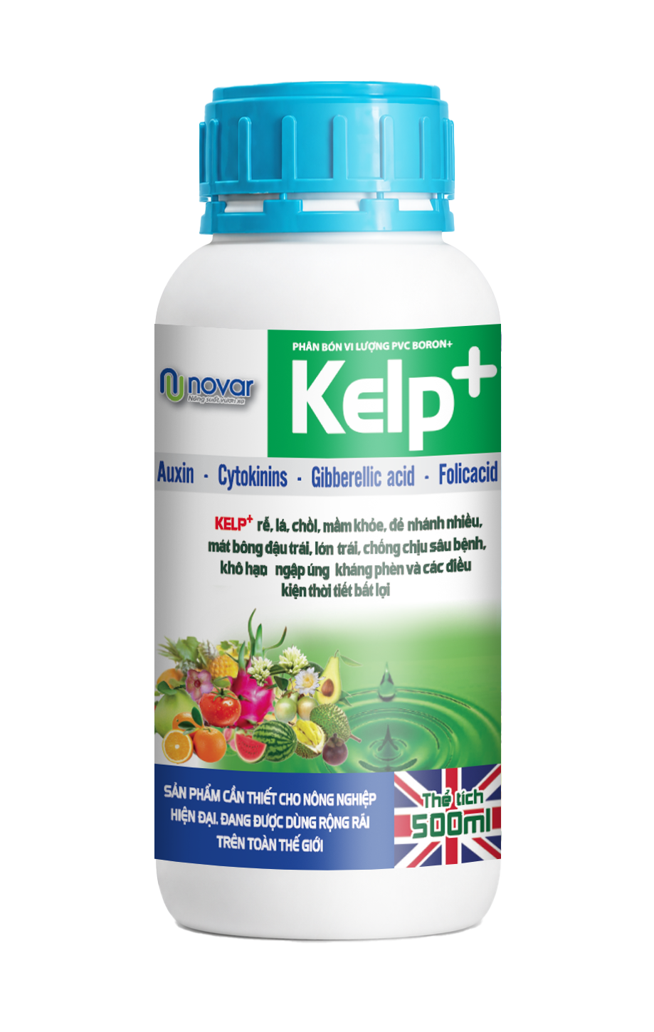  KELP + 