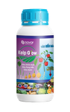  KELP GROW - TẢO BIỂN NÂU 