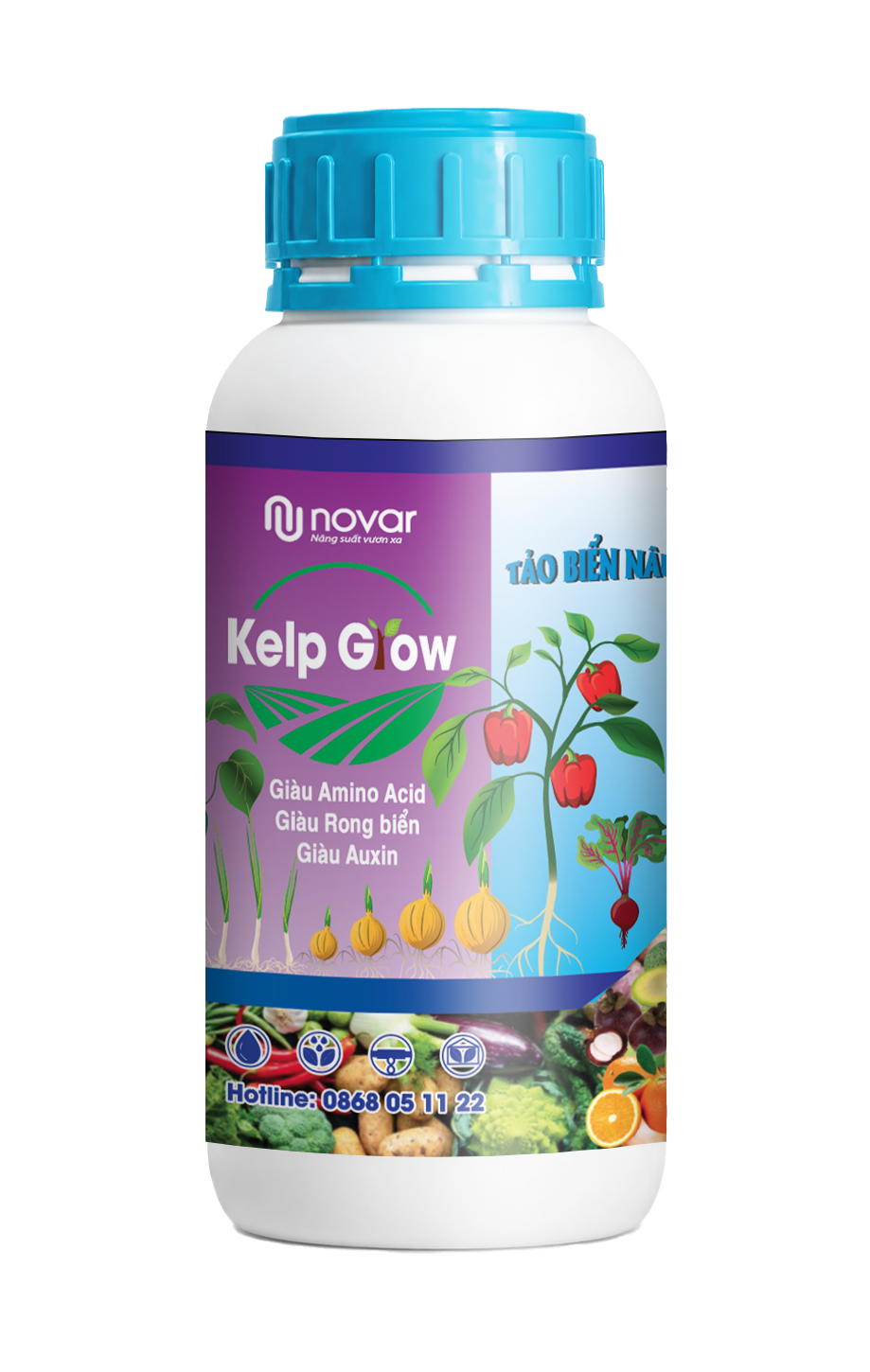  KELP GROW - TẢO BIỂN NÂU 