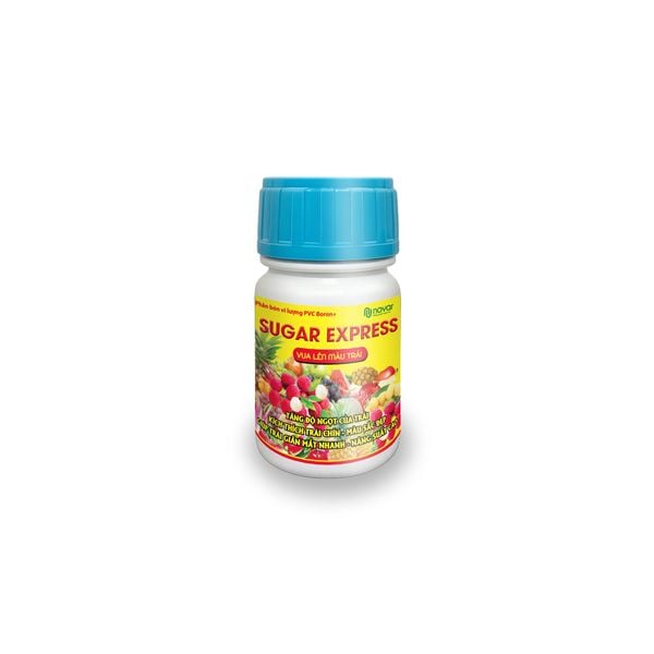  Sugar Express 