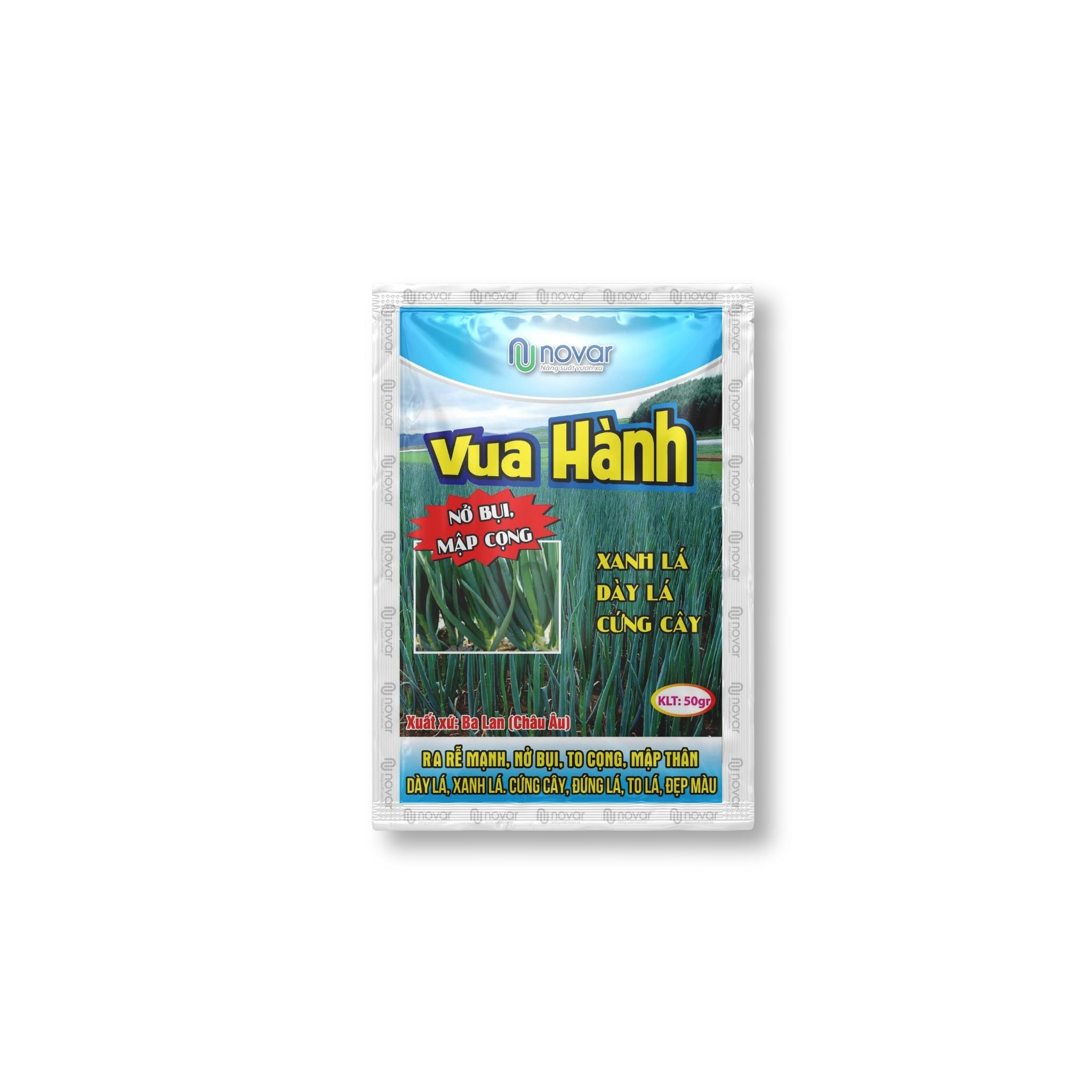  Vua Hành 