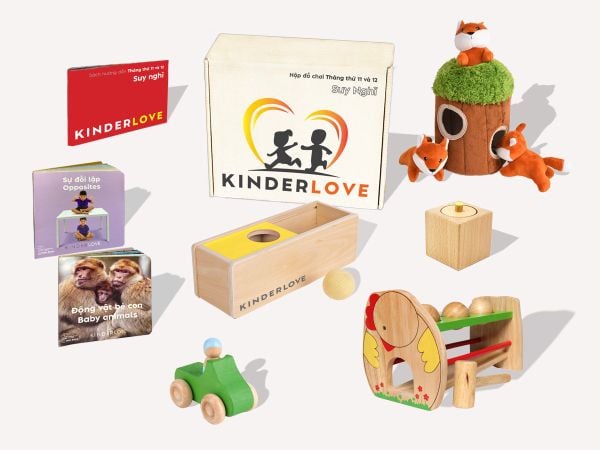 Đồ chơi Montessori - 10- Hộp Đồ Chơi Suy Nghĩ - Đồ Chơi Montessori Cho Bé 10-11 Tháng Tuổi