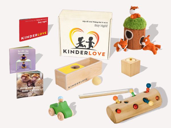 Đồ chơi Montessori - 10- Hộp Đồ Chơi Suy Nghĩ - Đồ Chơi Montessori Cho Bé 10-11 Tháng Tuổi