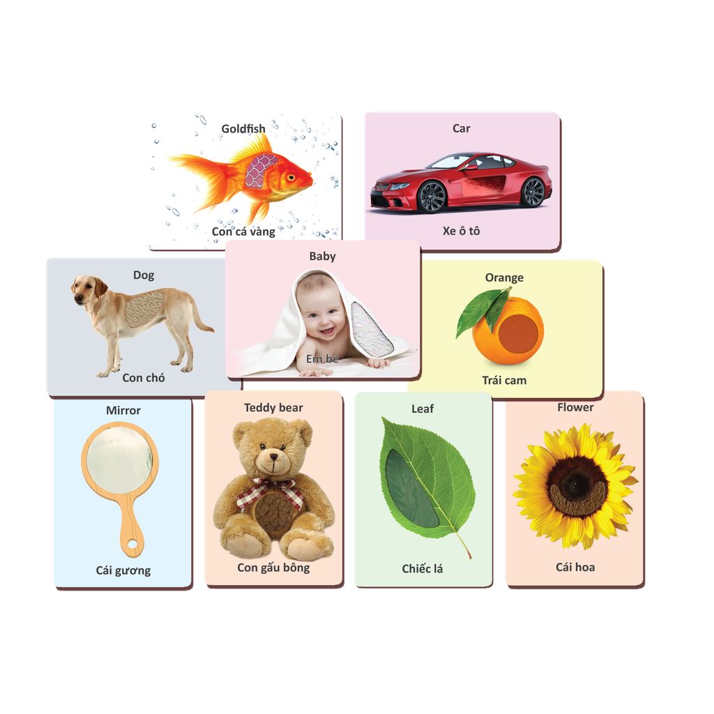  Hộp Đồ Chơi Khám Phá - Đồ Chơi Giáo Dục Cho Bé 8-9 Tháng Tuổi