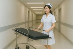 Xe băng ca cứu thương y tế inox 201