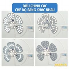 Đèn phẫu thuật FULL LED bóng ĐƠN PETAL 5 di động
