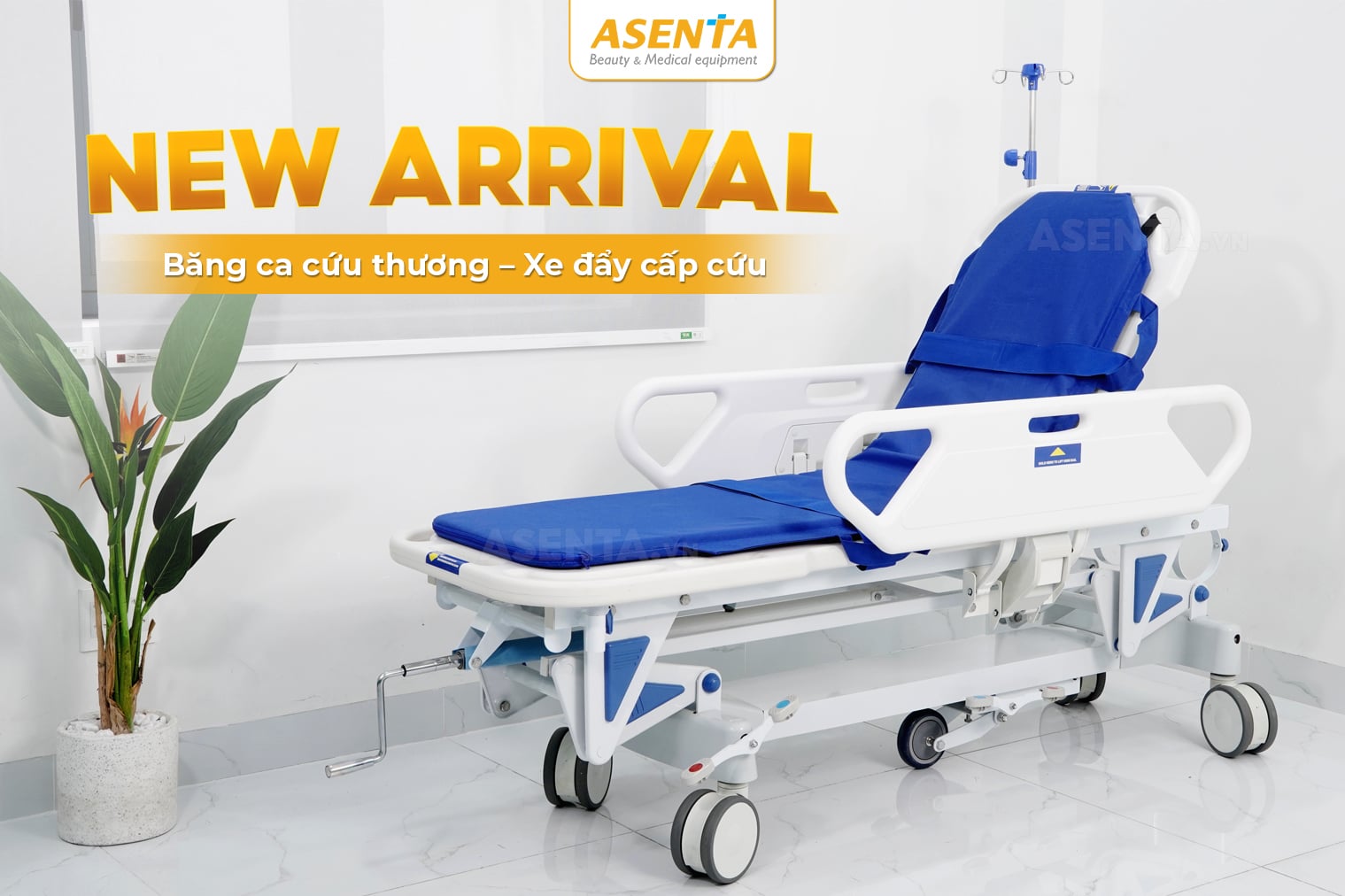 Băng ca cứu thương Y tế đa năng HMHB-4010