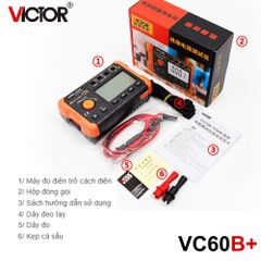 Đồng hồ đo điện trở cách điện VICTOR 60B+