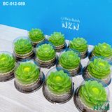  Set 3 Bánh Cúng Hoa Sen Xanh (BC-012-089) 