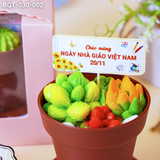  Hộp Bánh Quà Tặng Chậu Bánh Sen Đá Kèm Xẻng (BQT-030-002) 