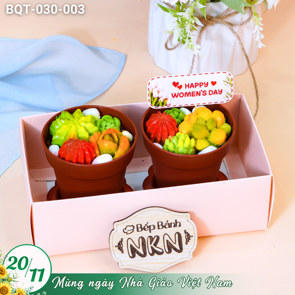  Hộp Bánh Quà Tặng 2 Chậu Bánh Sen Đá Kèm Xẻng (BQT-030-003) 