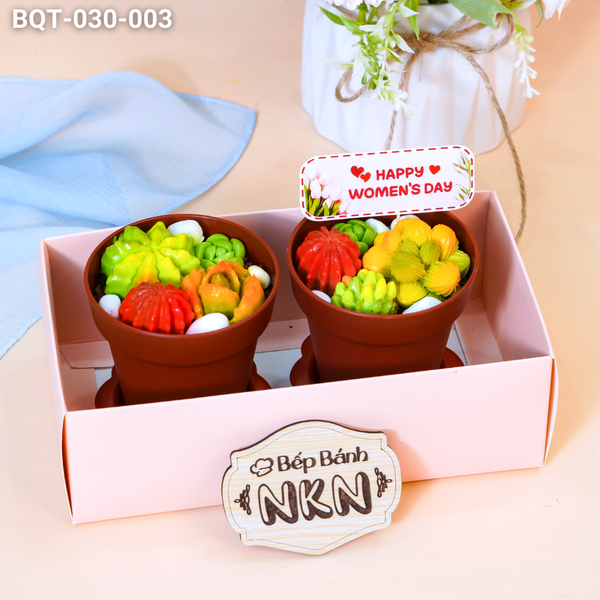  Hộp Bánh Quà Tặng 2 Chậu Bánh Sen Đá Kèm Xẻng (BQT-030-003) 