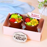  Hộp Bánh Quà Tặng 2 Chậu Bánh Sen Đá Kèm Xẻng (BQT-030-003) 