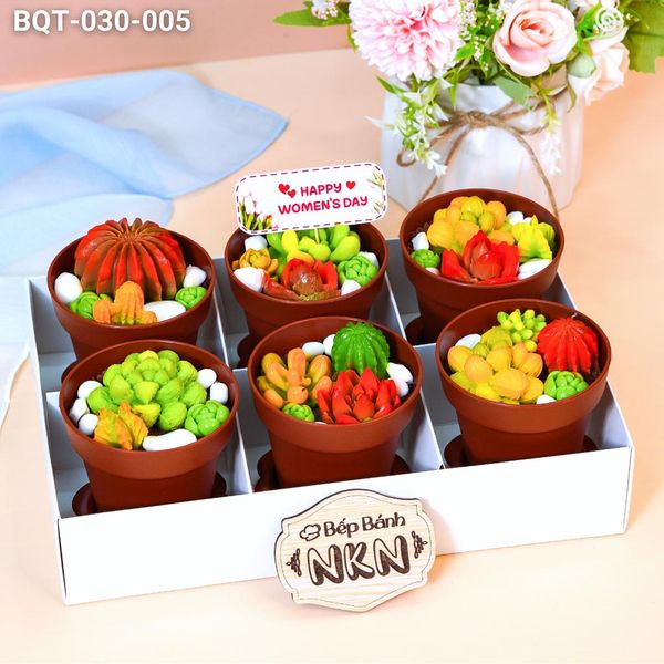 Hộp Quà 6 Chậu Bánh Sen Đá Kèm Xẻng (BQT-030-005) 