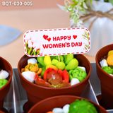  Hộp Bánh Quà Tặng 20/10 6 Chậu Bánh Sen Đá Kèm Xẻng (BQT-030-005) 