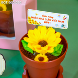  Hộp Bánh Quà Tặng Chậu Hoa Hướng Dương Kèm Xẻng (BQT-030-020) 