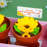  Hộp Bánh Quà Tặng 2 Chậu Hoa Hướng Dương Kèm Xẻng (BQT-030-021) 