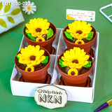  Hộp Bánh Quà Tặng 4 Chậu Hoa Hướng Dương Kèm Xẻng (BQT-030-022) 