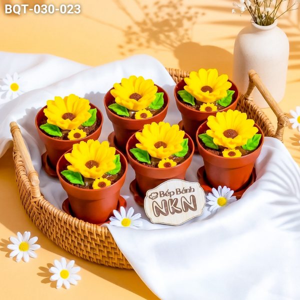  Hộp Bánh Quà Tặng 20/11 6 Chậu Hoa Hướng Dương Kèm Xẻng (BQT-030-023) 