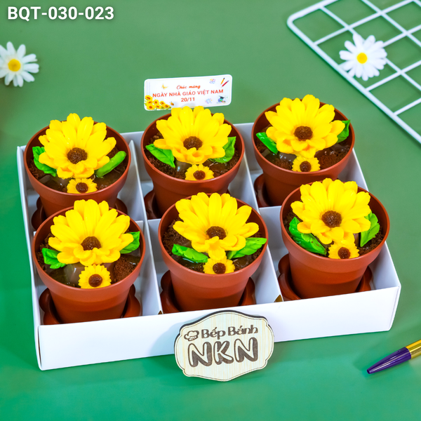  Hộp Bánh Quà Tặng 20/11 6 Chậu Hoa Hướng Dương Kèm Xẻng (BQT-030-023) 