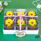  Hộp Bánh Quà Tặng 20/11 6 Chậu Hoa Hướng Dương Kèm Xẻng (BQT-030-023) 