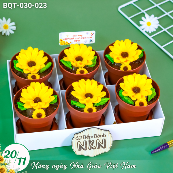  Hộp Bánh Quà Tặng 20/11 6 Chậu Hoa Hướng Dương Kèm Xẻng (BQT-030-023) 