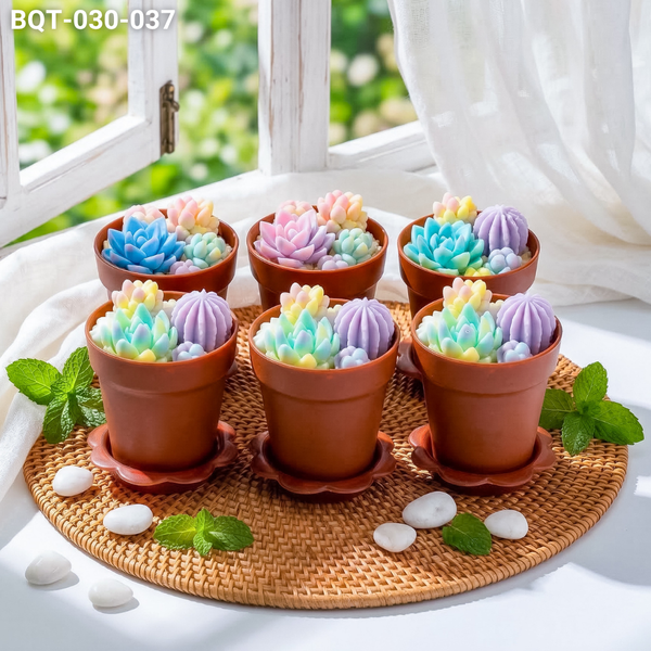  Hộp Bánh Quà Tặng 6 Chậu Bánh Sen Đá Kèm Xẻng Màu Pastel
 (BQT-030-037) 