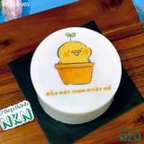  Bánh Rau Câu Bento Cute (BT-028-005) 