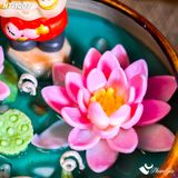  Hộp Quà Nến Thơm Liên Ngư Trường Thọ Tặng Mẹ (NT-1007) 