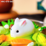  Hộp Bánh Quà Tặng Vườn Thỏ (HRC-016-003) 