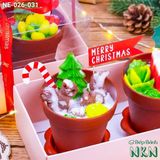  Set 2 Chậu Bánh Quà Tặng Giáng Sinh (NE-026-031) 