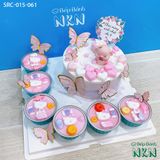  Set Bánh Sinh Nhật Cho Bé Tuổi Hợi (SRC-015-061) 